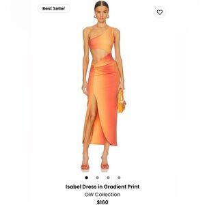 OW Collection Isabel Dress in Gradient Print size Small